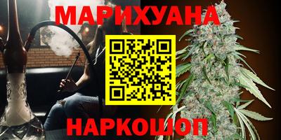 гидропоника Будённовск