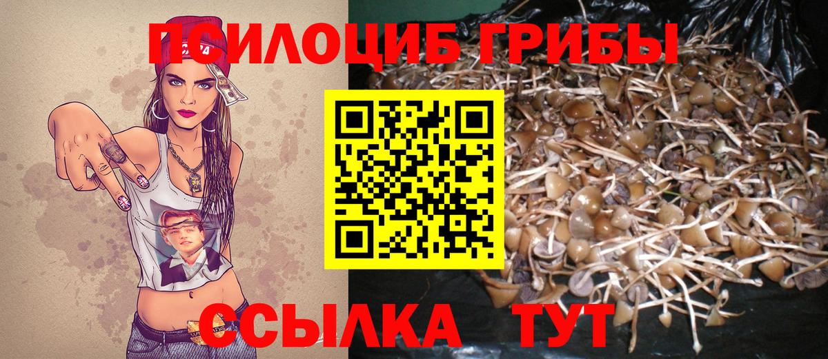 Галлюциногенные грибы Psilocybine cubensis  Вход с VPN  Тамбов 